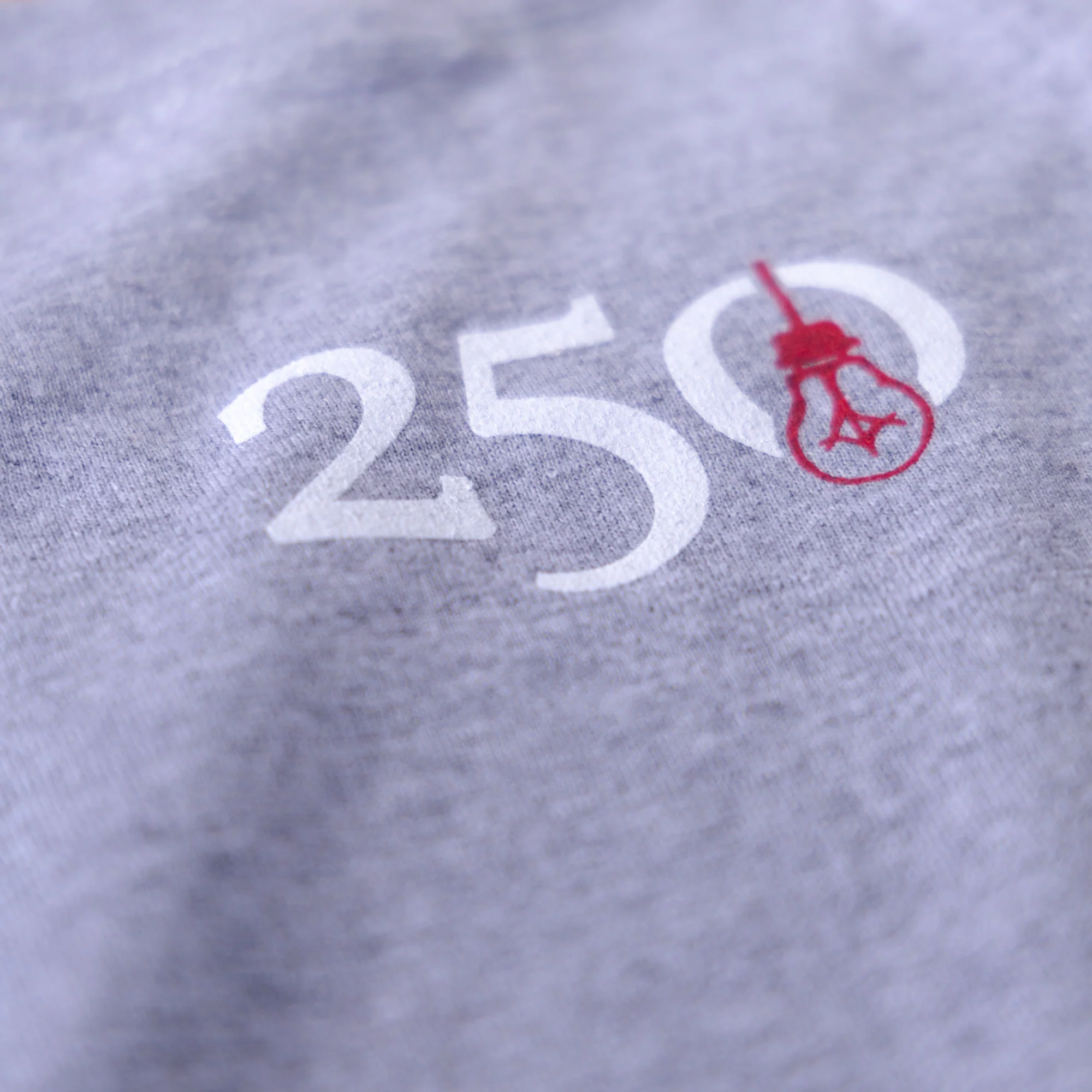Side Project USA 250 T-Shirt - Sport Grey - Image 4